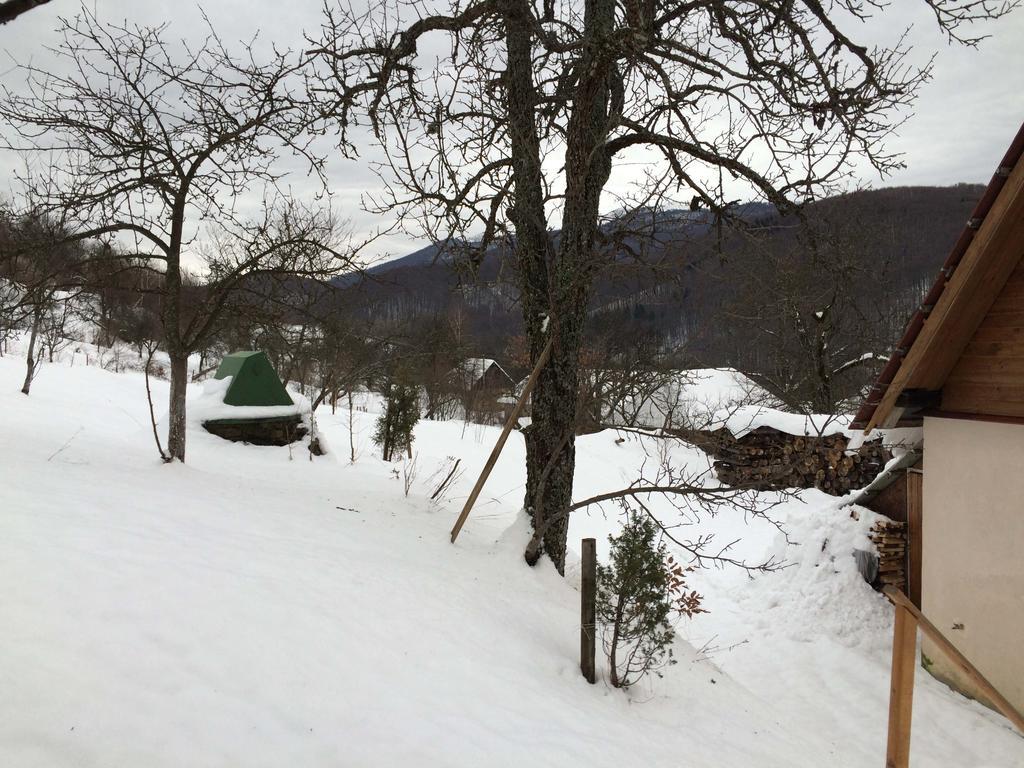 У Сергія Guest House Lumşorî Exterior foto